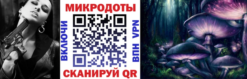 Псилоцибиновые грибы мицелий  MEGA ссылки  Купино  купить наркотики сайты 