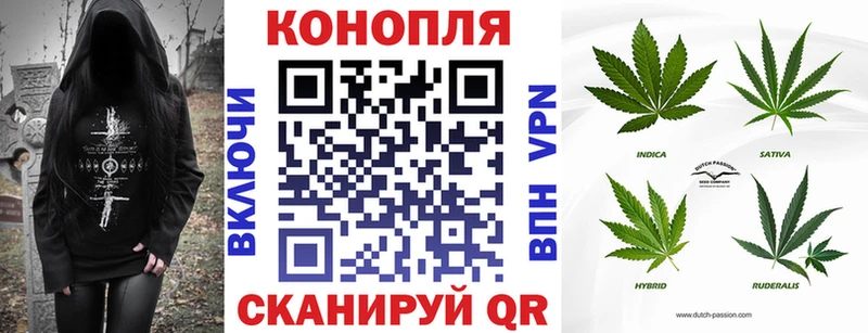 Бошки Шишки планчик Купино